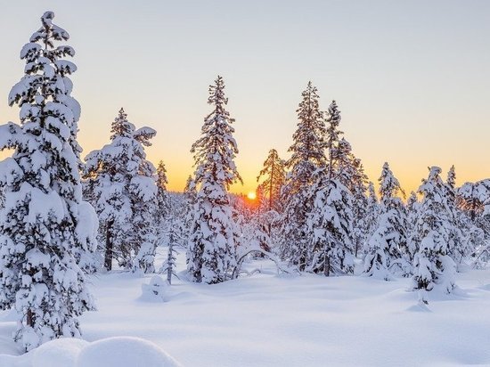 Мороз до 31 градуса ожидается в Забайкалье 20-22 ноября