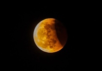 Частичное лунное затмение 19 ноября можно будет наблюдать из Красноярска