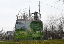 В тандеме с Москвой Подмосковье запускает очередной экологический проект