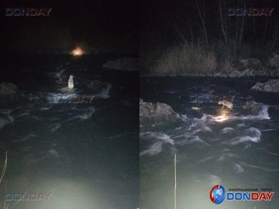 На Дону спасли собаку, застрявшую посреди реки на обломке старого моста