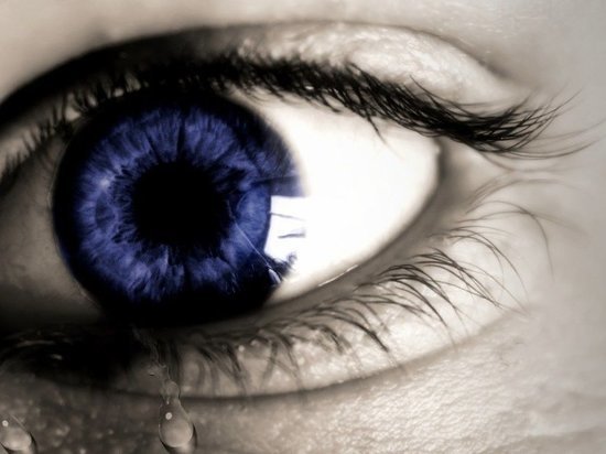 Дети в Карелии голодали двое суток