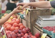 Белгородстат оценил динамику стоимости продуктов в регионе