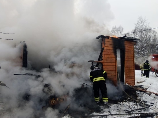 На Дону мать избежала наказания за гибель 3-летнего сына при пожаре