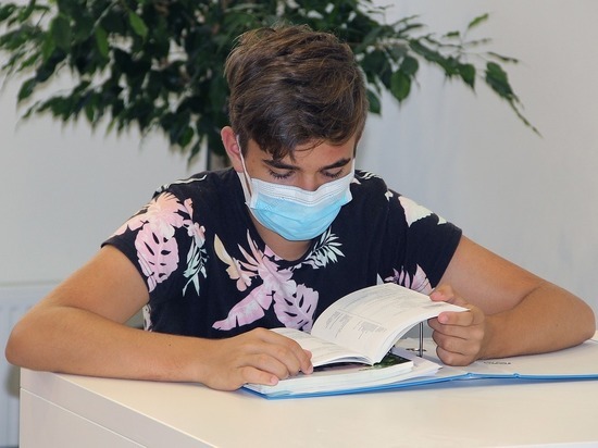 Дончане пристыдили за ошибки автора петиции против очного обучения