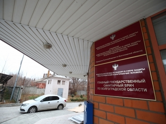 В Волгограде активисты пытались проверить QR-коды сотрудников Роспотребнадзора