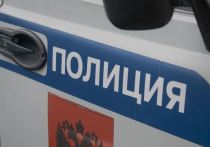 На парковке у торгово-развлекательного комплекса «Европолис» в Ростокино в Москве прошли задержания более десяти человек, устроивших флешмоб на автомобилях