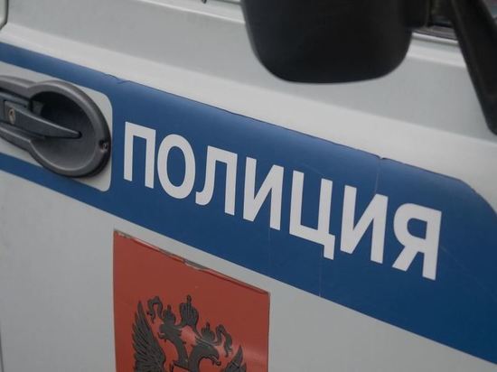 В Москве задержали мигрантов за флешмоб на 30 машинах