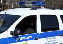 Пресс-служба ГУ МВД по Москве передает, что пятеро охранников магазина игрушек избили мужчину за неоплаченный товар