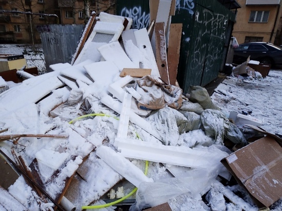 Жители Петрозаводска недовольны свалкой около контейнерной площадки