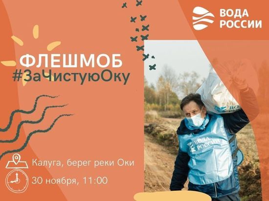 В Калужской области пройдет флешмоб по очистке берегов Оки от мусора