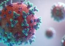 Вирусолог центра Гамалеи спрогнозировал возможный спад волны коронавируса через неделю. 