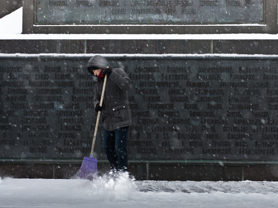 Власти Петербурга хотят за деньги привлечь горожан к уборке снега