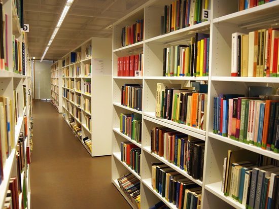 Костромская область получит 3,2 млн. рублей на обновление книжных фондов своих библиотек
