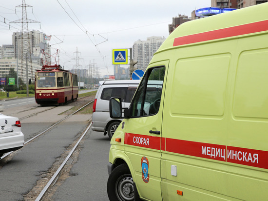 В Петербурге иномарка сбила девятилетнюю девочку