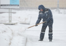 Власти Петербурга объявили о запуске пилотной программы по привлечению горожан к уборке снега в зимний период на возмездной основе