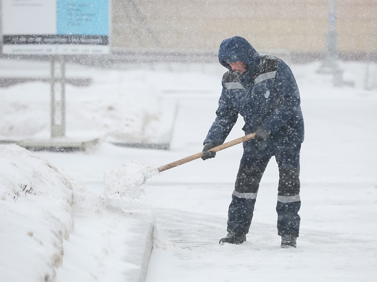 Петербуржцев решили отправить чистить снег в рамках "дворник-шеринга"