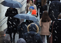 В столичном метеобюро сообщили, что за минувшие 24 часа в Москве выпало 11 мм осадков, что составляет 19% от месячной нормы (58 мм)