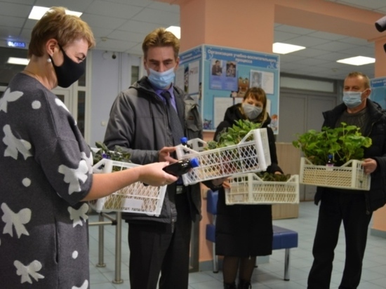 Специалисты Россельхозцентра дарят ивановским школам комнатные растения