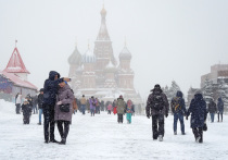 Главный специалист Московского метеобюро Татьяна Позднякова рассказала, что на следующей неделе москвичей ожидают морозные дни