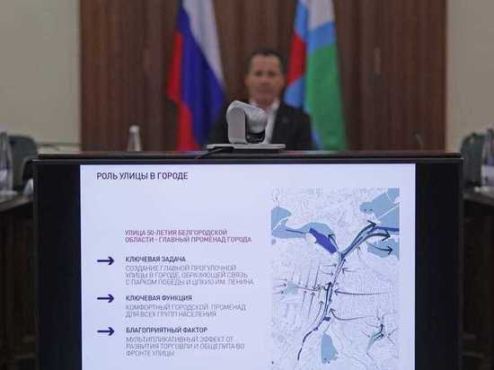 Губернатору Белгородской области показали план преображения Центрального парка