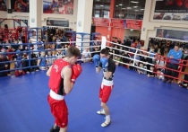 Красноярск уже не первый год становится площадкой соревнований по боевым искусствам «Рубка», где представители разных школ и боевых систем состязаются в боксерском ринге