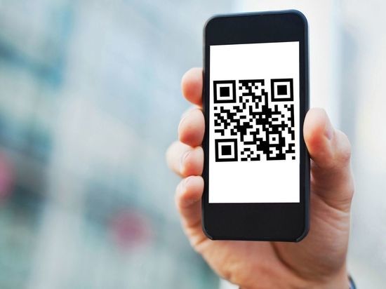 Пестовчанку оштрафовали за одиночный пикет против QR-кодов