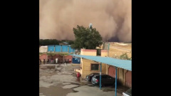 Пыльная буря напугала египтян: видео