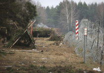 Министр обороны Польши Мариуш Блащак заявил, что мигранты продолжают свои попытки взять штуромом границу с белоруссией, но теперь они изменили свою тактику