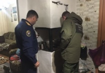 Семья из шести человек отравилась в Ростовской области, в результате двое детей умерли, сообщается на сайте следственного управления СК по региону