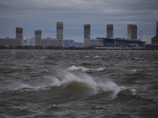 Сильный ветер ожидается в Петербурге в ночь на понедельник
