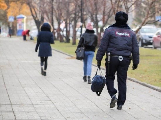 Пьяный новосибирец пнул в лицо полицейского