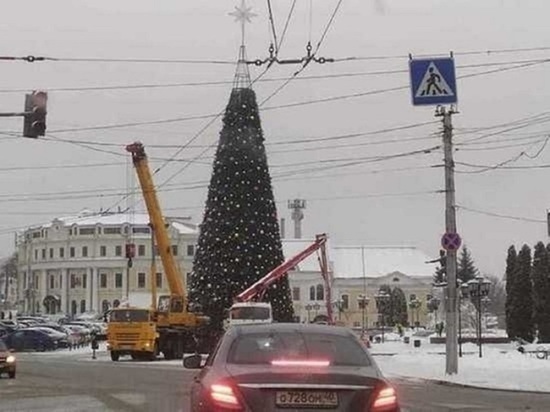 Власти Калуги рассказали о возможности установки живой елки в городе