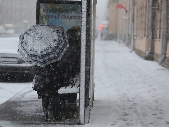 Антициклон принесет первые морозы в Петербург в начале недели