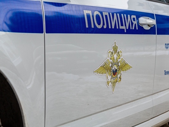 О новых способах мошенничества рассказали в полиции Красноярского края
