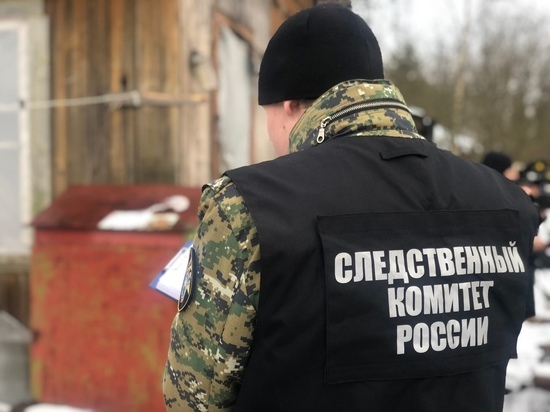 Пьяный конфликт в старорусской деревне завершился выстрелами из обреза