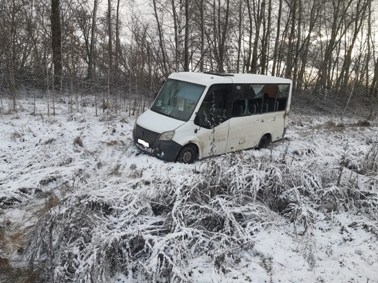 В аварии с маршруткой под Щекино пострадали 2 женщины