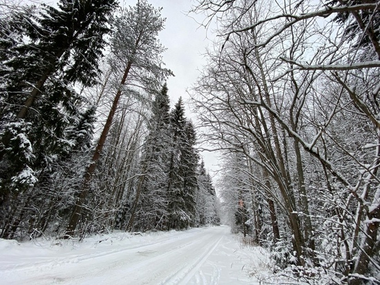 Тульская Госавтоинспекция сообщила об опасности на дорогах из-за снега