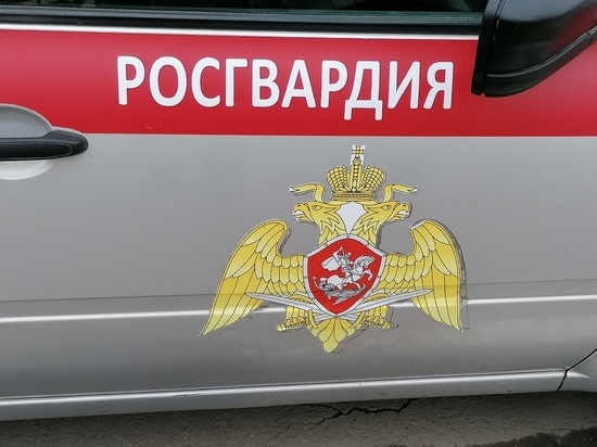 В Щекино росгвардейцы задержали подозреваемых в краже металла