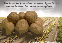 «Белые мухи» уже полетели, а битва за урожай овощей в России еще продолжается