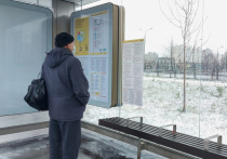 С 20 ноября в Центральном и Южном округах Москвы введена в действие новая сеть маршрутов городского наземного транспорта «Магистраль»