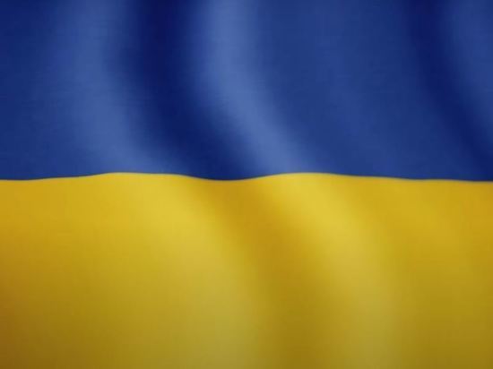 Царев предложил разделить Украину на сферы влияния