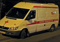 В подмосковном Жуковском автомобиль сбил мужчину с ребенком на пешеходном переходе
