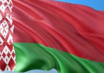 К разработке новой конституции Белоруссии должна быть привлечена Венецианская комиссия Совета Европы