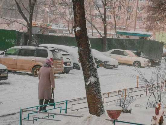 Хабаровчане восстали после сообщения чиновников о том, что в городе чистят дворы от снега