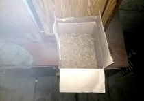В Тарбагатайском районе Республики Бурятия сотрудники наркоконтроля изъяли у работника растениеводческого хозяйства около 8 килограммов марихуаны