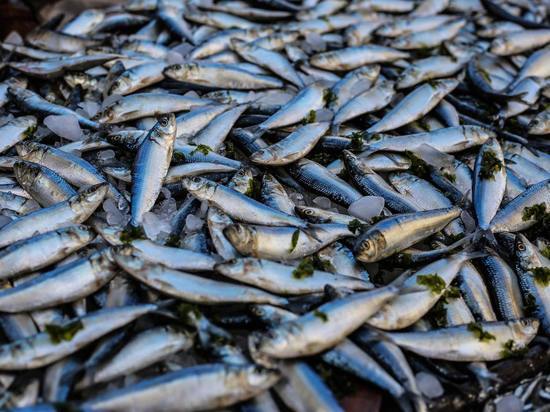 Роспотребнадзор в Кузбассе изъял 16 партий опасных морепродуктов