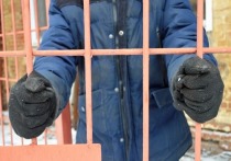 Федеральная служба исполнения наказаний впервые официально поддержала ужесточение ответственности за пытки заключенных в российских тюрьмах