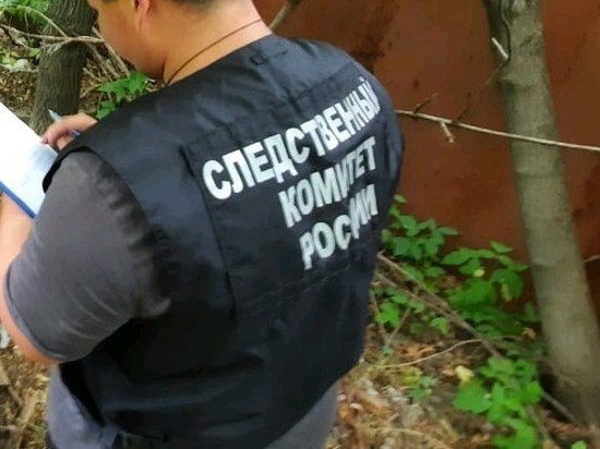 СК организовал проверку после того, как охранник скрутил посетительницу почты