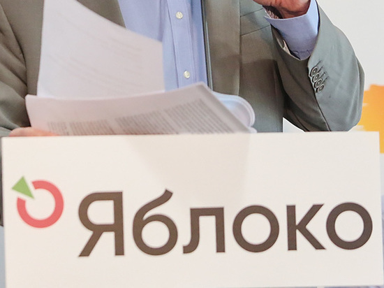 Московское отделение "Яблока" забрало у 488 человек партийные билеты