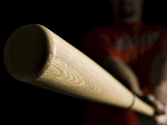 Новодвинский «бейсболист» проломил голову сверстнику спортивным инвентарём
